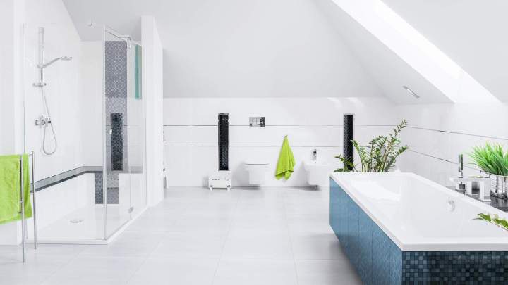Rénovation de salle de bain, Frouzins